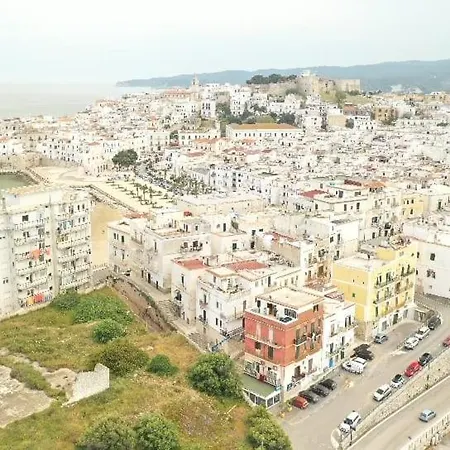 Tagliamento & Molo * Βιέστε